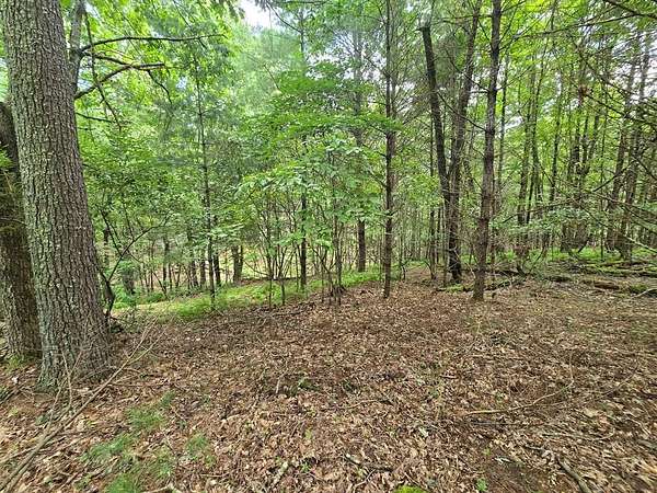 5.17 Acres of Residential Land for Sale in Independence, Virginia