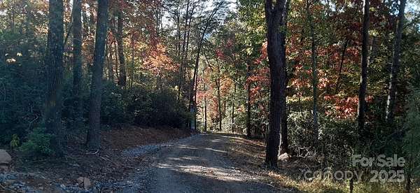 8 Acres of Residential Land for Sale in Columbus, North Carolina