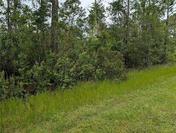 0.55 Acres of Residential Land for Sale in Indian Lake Estates, Florida