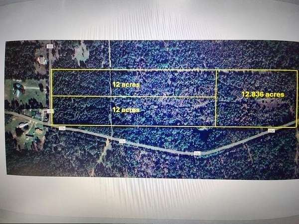 12 Acres of Recreational Land for Sale in Palestine, Texas