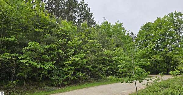 1 Acre of Residential Land for Sale in Kalkaska, Michigan