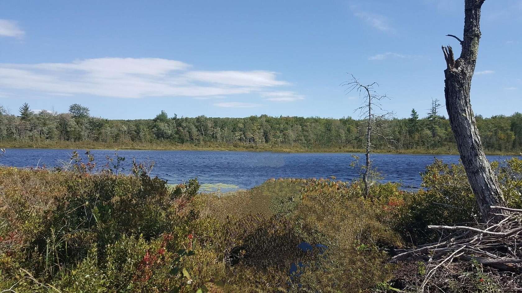 13.8 Acres of Land for Sale in Jay, Maine