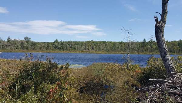 13.8 Acres of Land for Sale in Jay, Maine