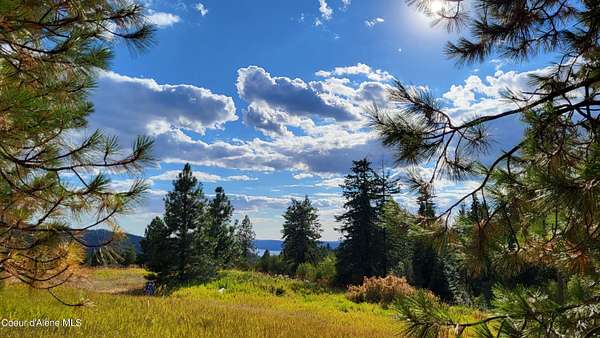 20 Acres of Recreational Land for Sale in Harrison, Idaho