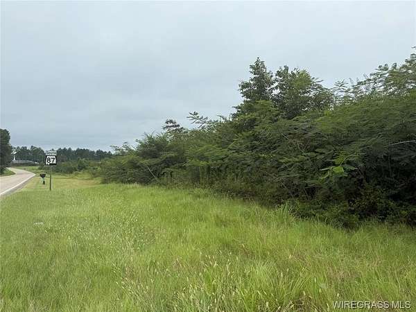 9 Acres of Residential Land for Sale in Elba, Alabama