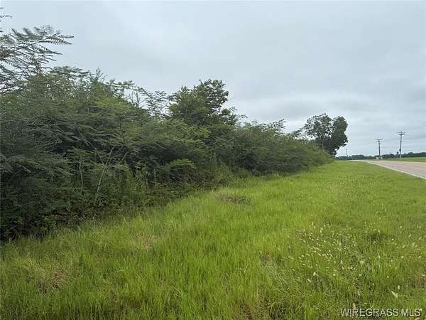 9 Acres of Residential Land for Sale in Elba, Alabama