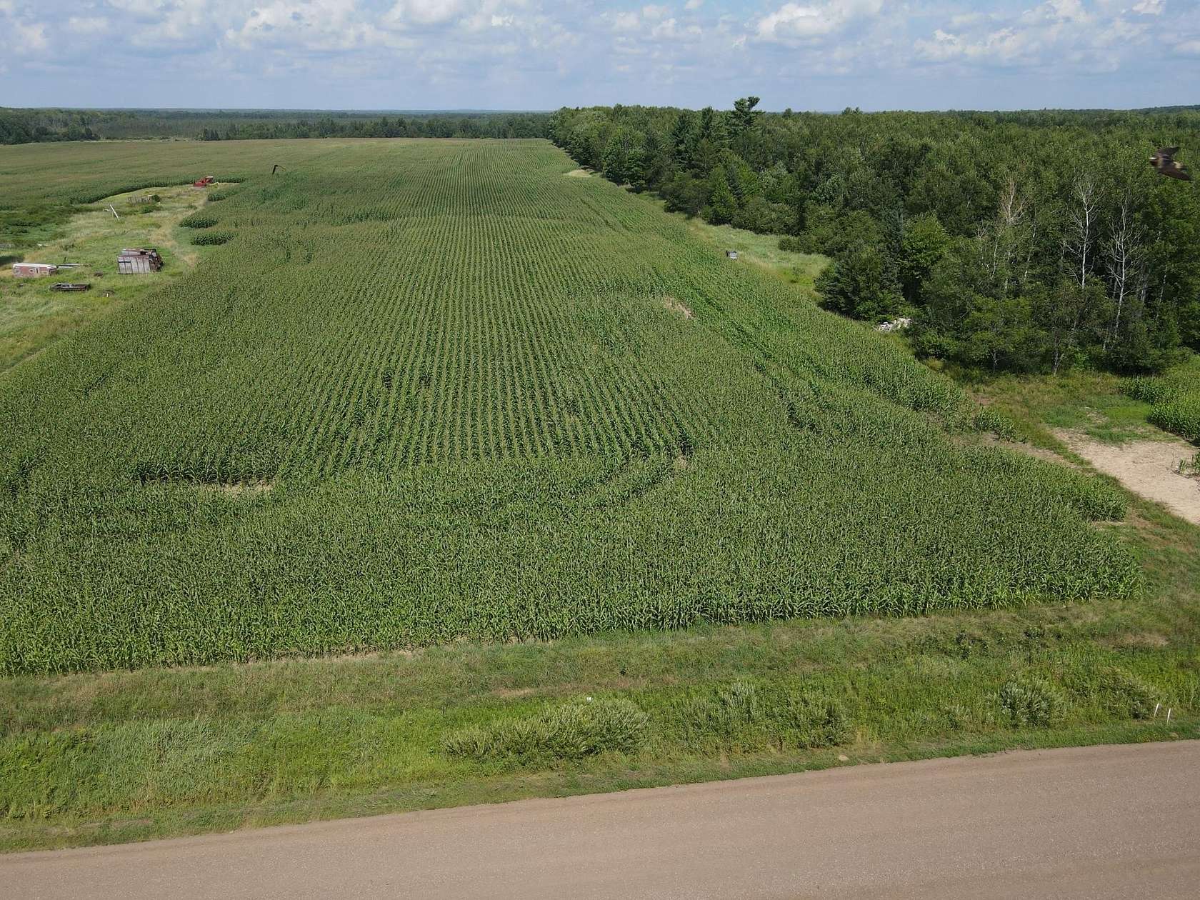 93.3 Acres of Land for Sale in Ogema, Wisconsin