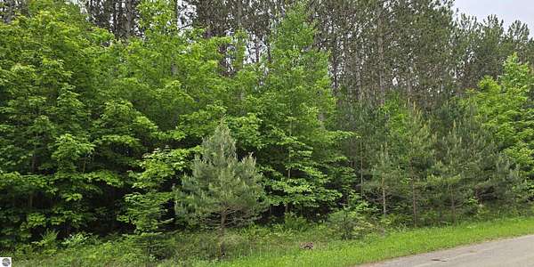 1 Acre of Residential Land for Sale in Kalkaska, Michigan
