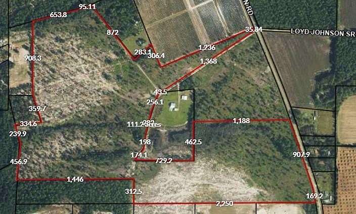 123 Acres of Recreational Land for Sale in Alma, Georgia