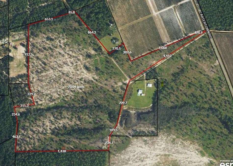 72.8 Acres of Recreational Land for Sale in Alma, Georgia