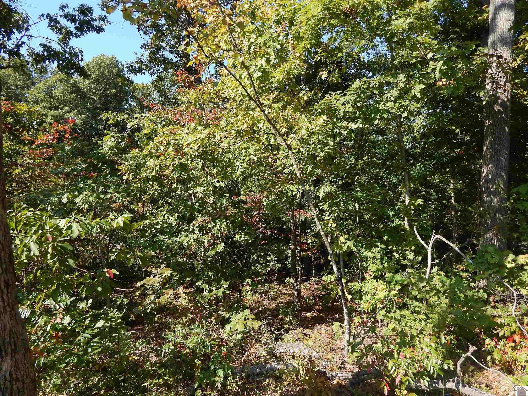 0.59 Acres of Residential Land for Sale in Gilbertsville, Kentucky