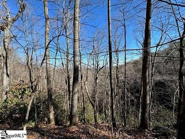 2 Acres of Land for Sale in Greenville, South Carolina