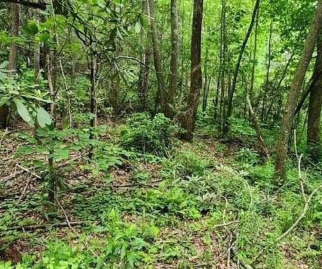 5 Acres of Land for Sale in Turtletown, Tennessee