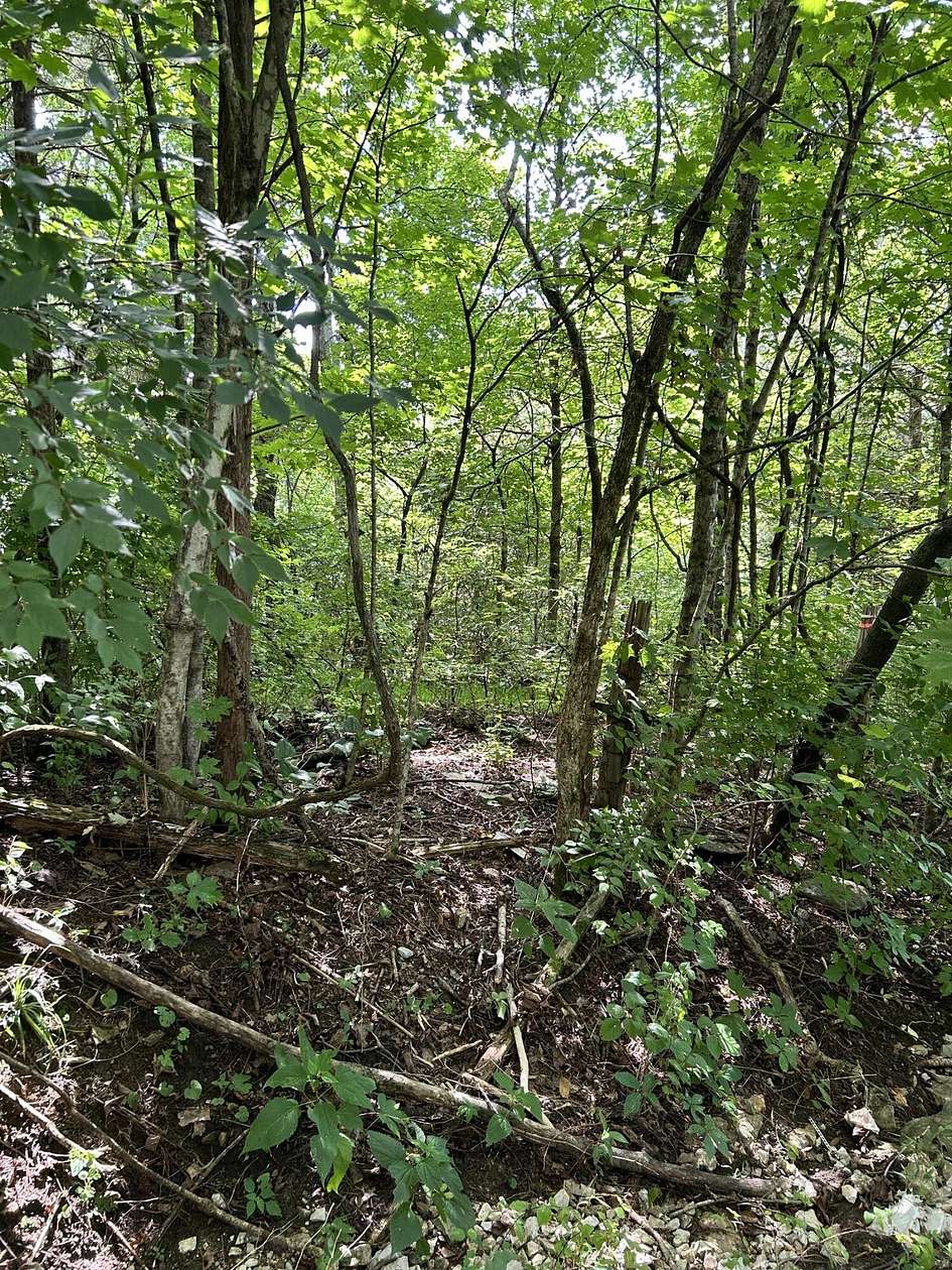 11.6 Acres of Land for Sale in Frankfort, Kentucky