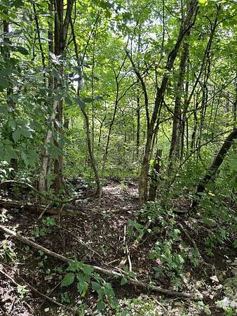 11.6 Acres of Land for Sale in Frankfort, Kentucky