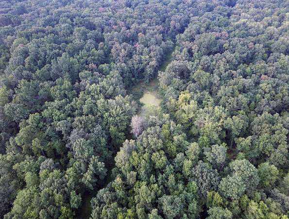 40 Acres of Recreational Land & Farm for Sale in Ann Arbor, Michigan