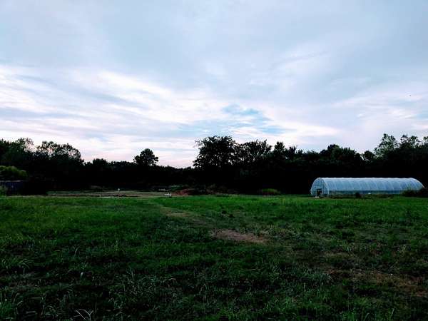 13.7 Acres of Mixed-Use Land for Sale in Memphis, Tennessee