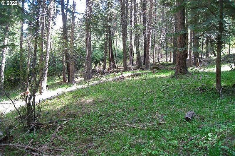 Land for Sale in Joseph, Oregon