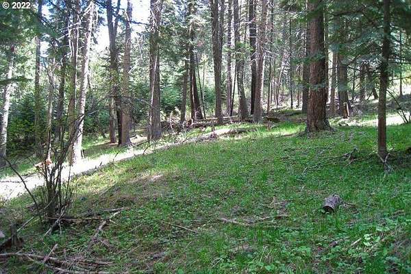 Land for Sale in Joseph, Oregon