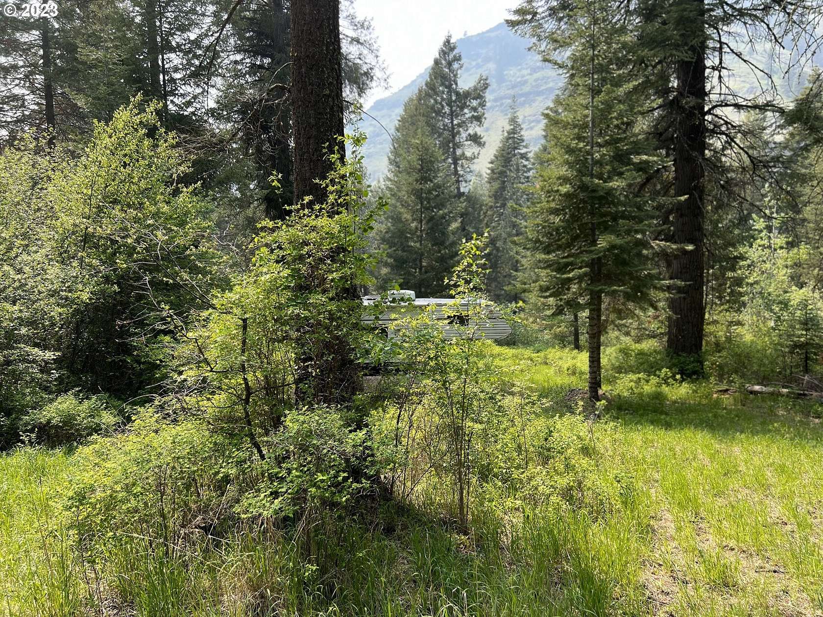 1.32 Acres of Residential Land for Sale in Imnaha, Oregon