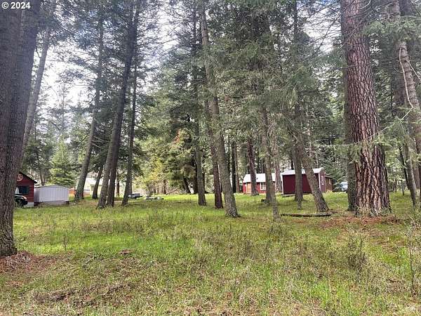 0.34 Acres of Land for Sale in Joseph, Oregon