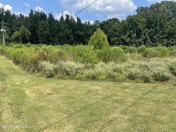 7.85 Acres of Mixed-Use Land for Sale in Raymond, Mississippi