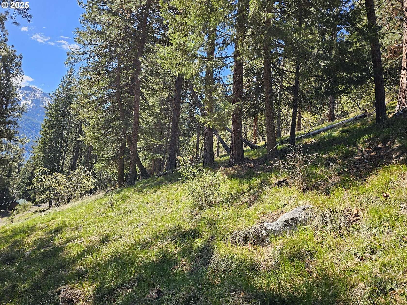 0.59 Acres of Residential Land for Sale in Joseph, Oregon