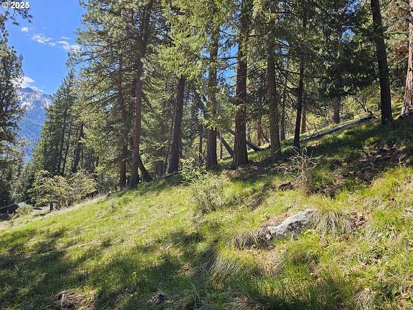 0.59 Acres of Residential Land for Sale in Joseph, Oregon