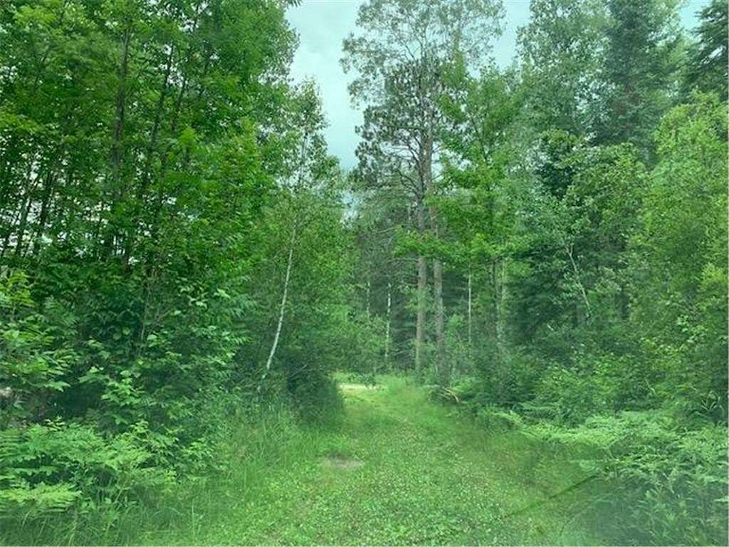 40.2 Acres of Recreational Land for Sale in Sand Lake Township, Minnesota