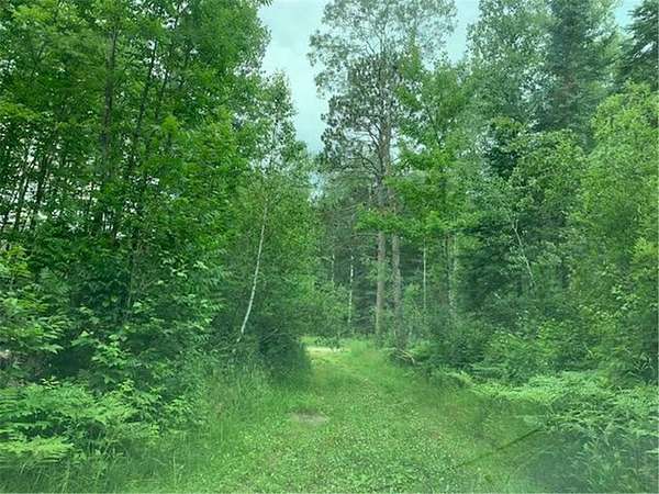 40.2 Acres of Recreational Land for Sale in Sand Lake Township, Minnesota