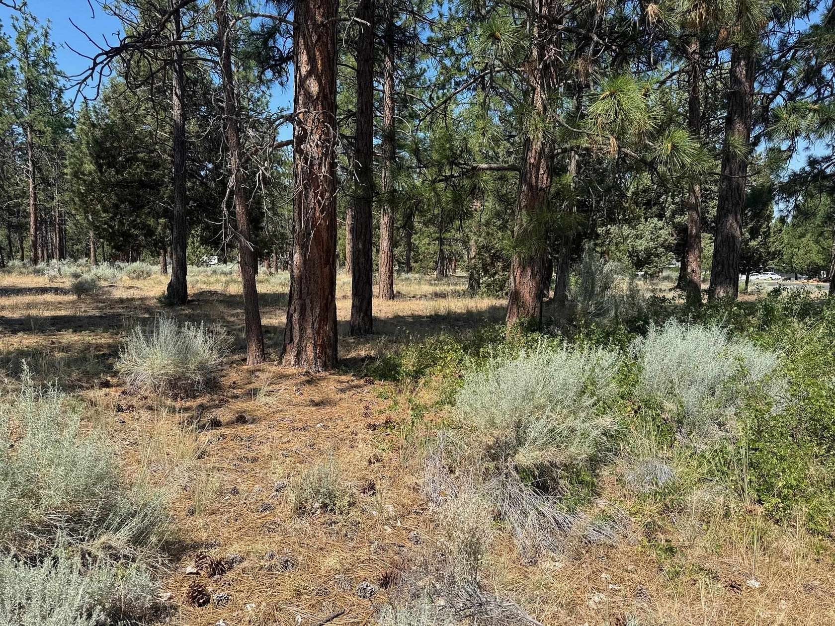 0.5 Acres of Residential Land for Sale in Weed, California