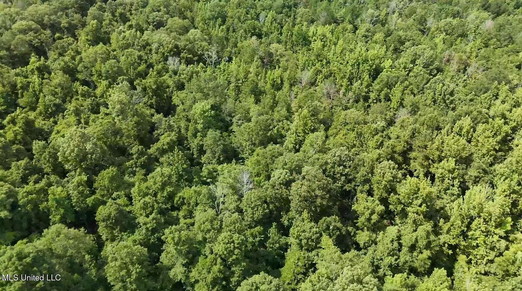 13.5 Acres of Land for Sale in Utica, Mississippi