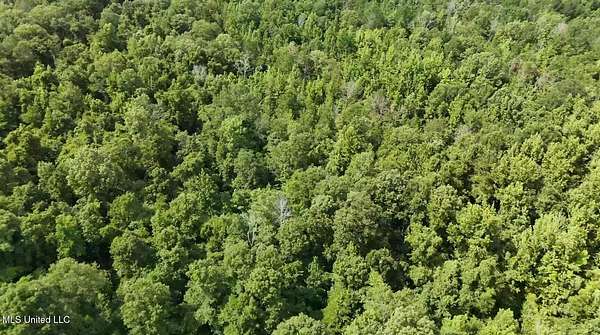 13.5 Acres of Land for Sale in Utica, Mississippi