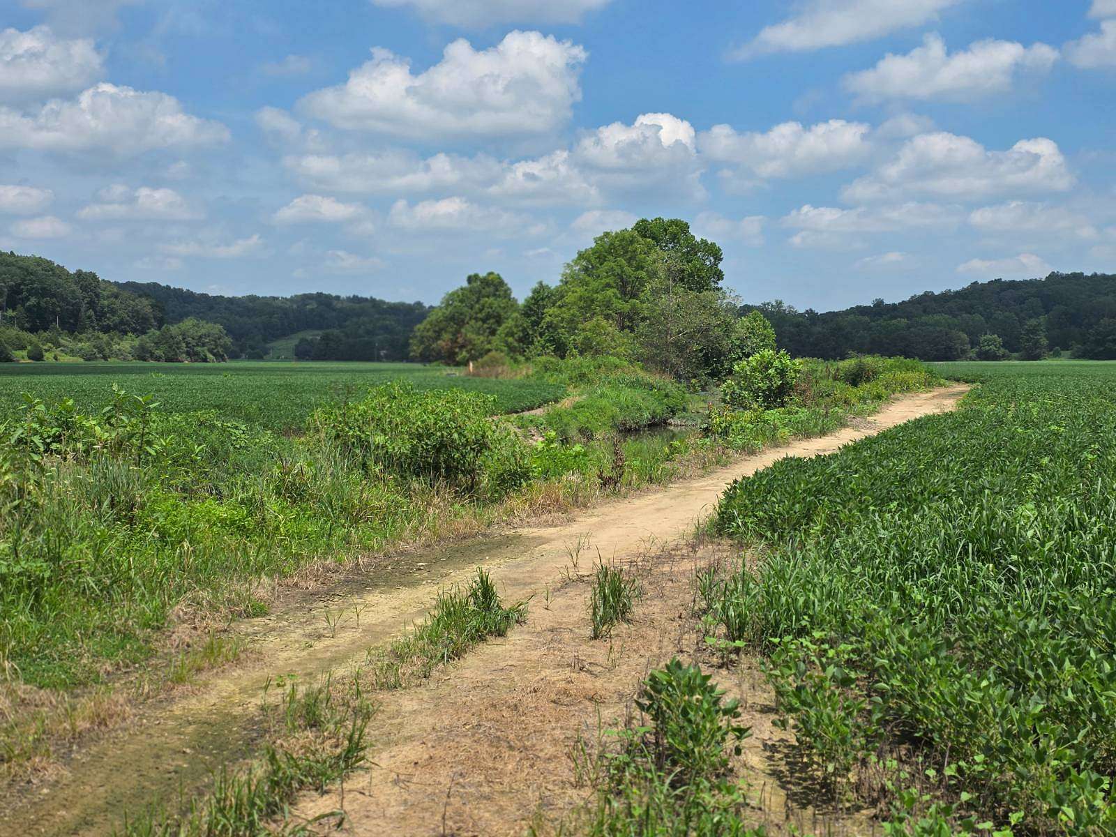 203 Acres of Recreational Land & Farm for Sale in Nashville, Indiana