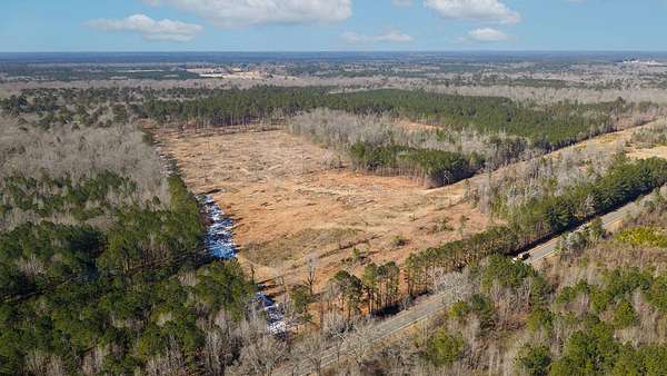 25.7 Acres of Recreational & Residential Land for Sale in Emerson, Arkansas