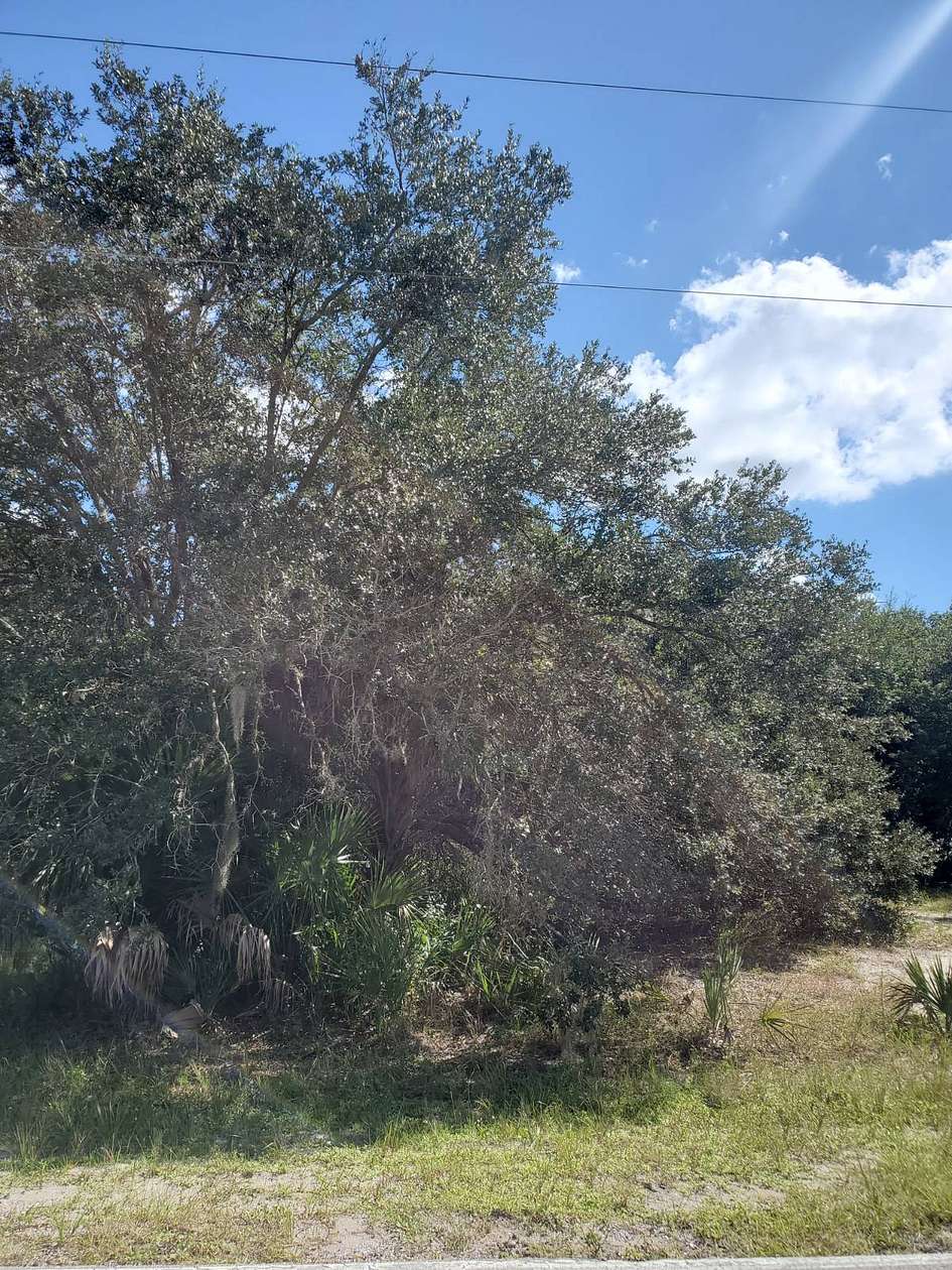 0.23 Acres of Residential Land for Sale in Punta Gorda, Florida