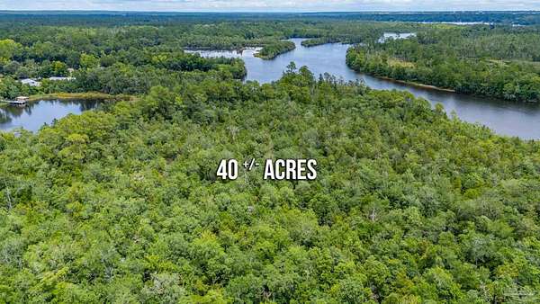 40.3 Acres of Recreational Land for Sale in Milton, Florida