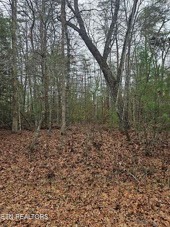 0.03 Acres of Land for Sale in Crossville, Tennessee