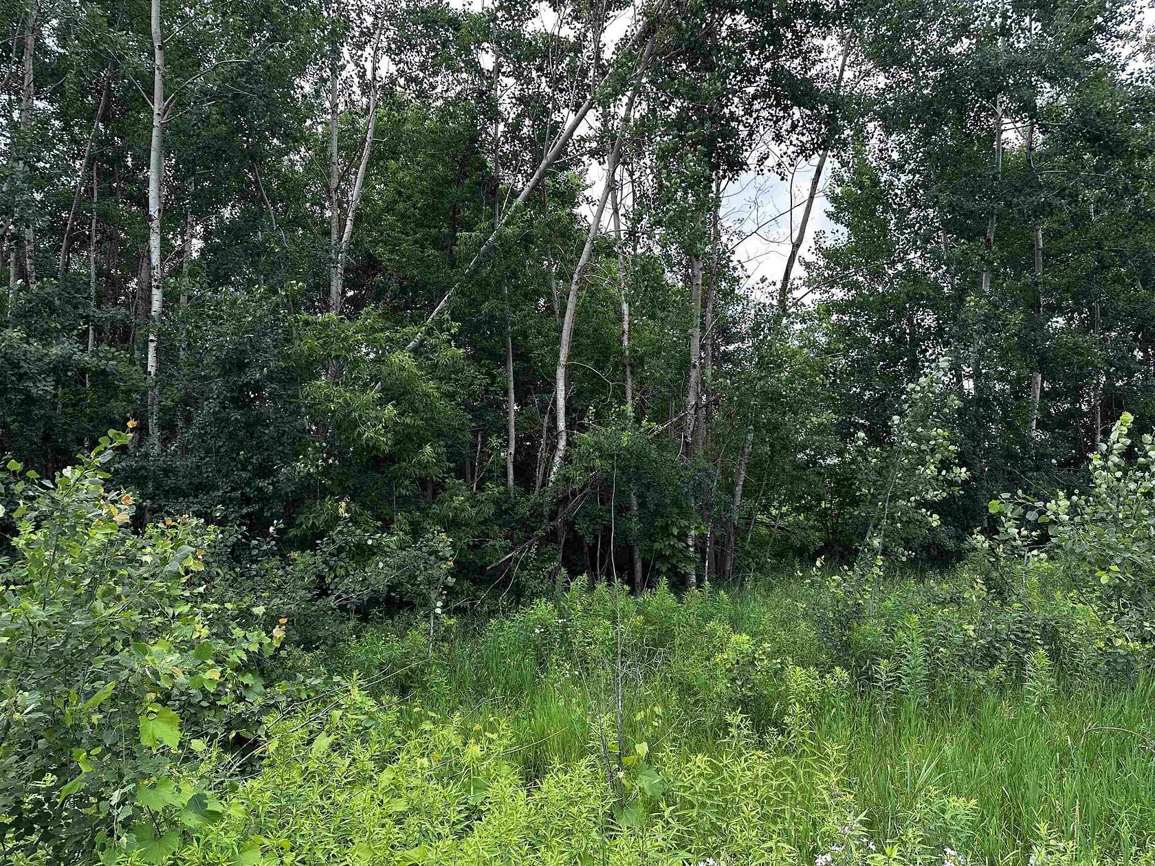 0.68 Acres of Residential Land for Sale in Wittenberg, Wisconsin