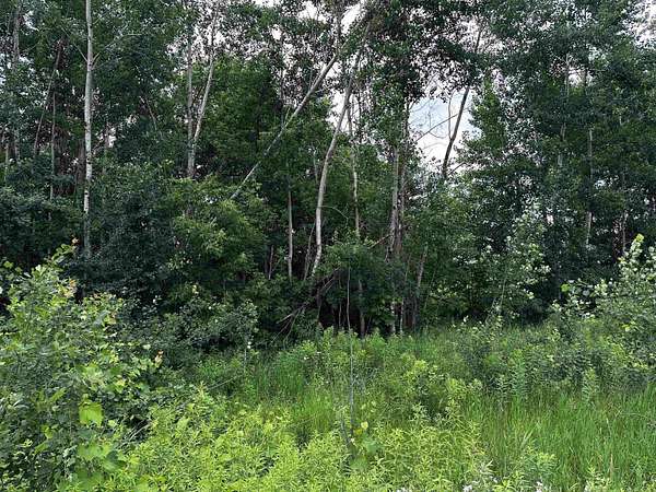 0.68 Acres of Residential Land for Sale in Wittenberg, Wisconsin