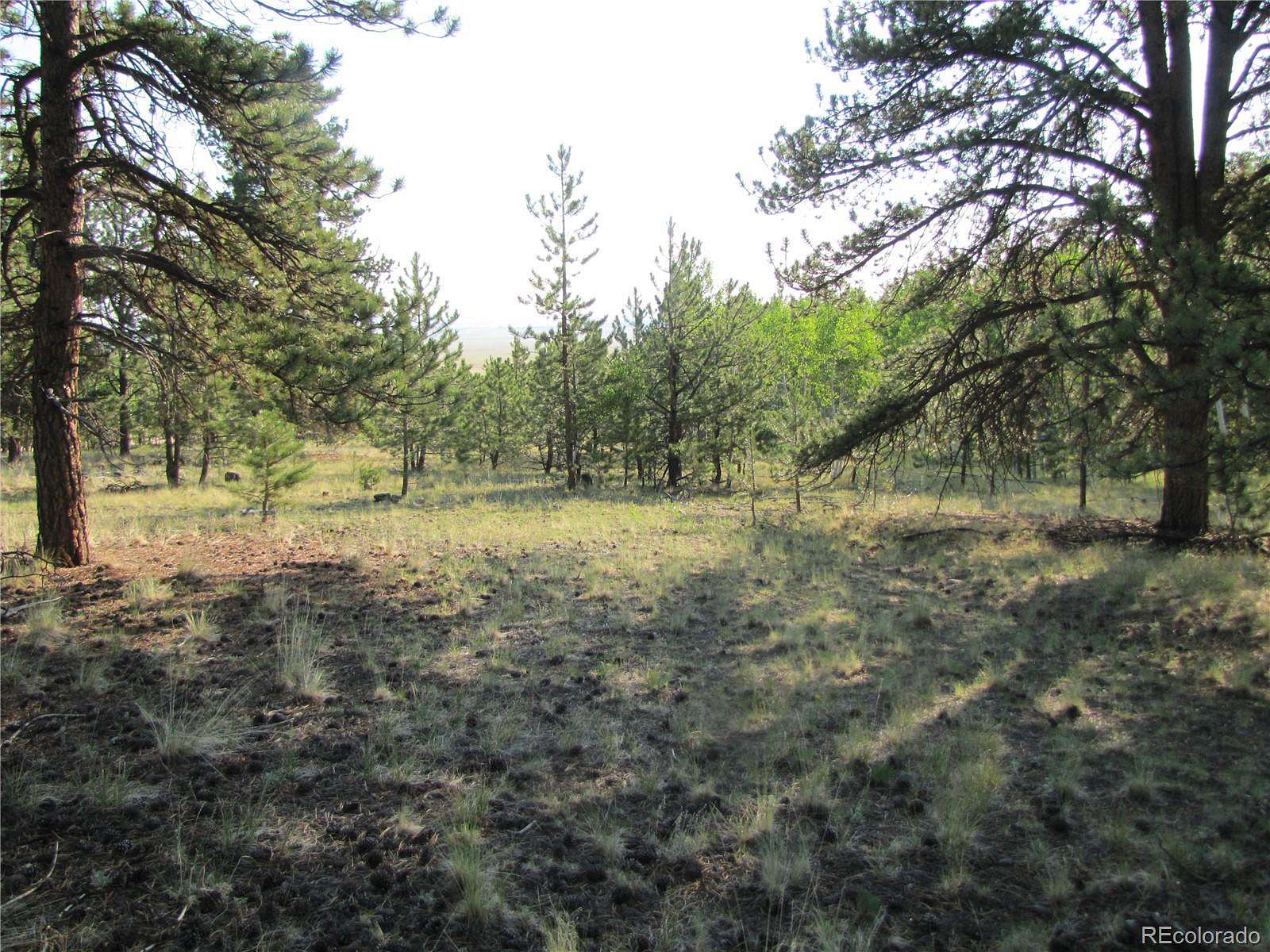 2.5 Acres of Land for Sale in Hartsel, Colorado