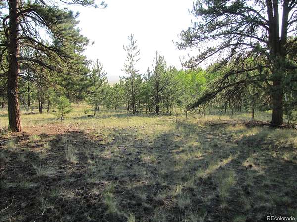 2.5 Acres of Land for Sale in Hartsel, Colorado