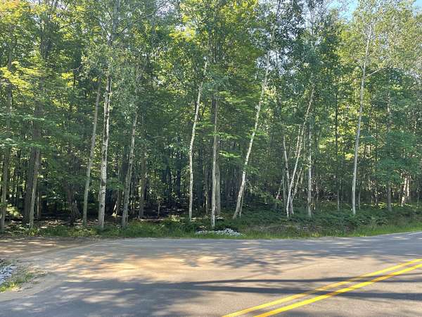 0.63 Acres of Land for Sale in Mears, Michigan