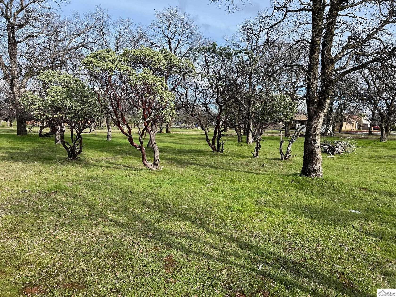 0.39 Acres of Residential Land for Sale in Cottonwood, California