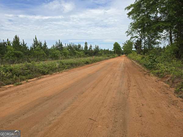 13.3 Acres of Land for Sale in Ellaville, Georgia