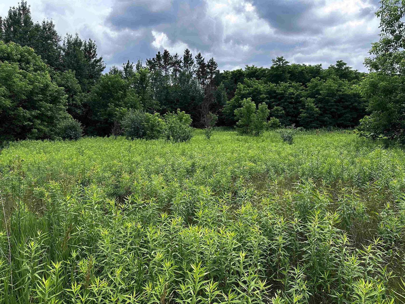 0.68 Acres of Residential Land for Sale in Wittenberg, Wisconsin