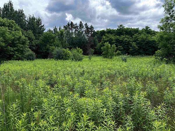 0.68 Acres of Residential Land for Sale in Wittenberg, Wisconsin