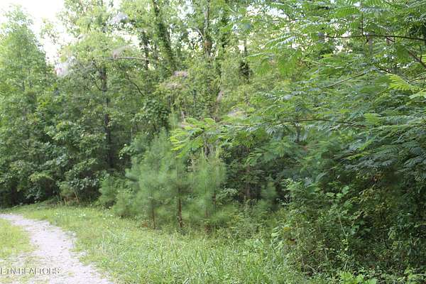 1 Acre of Residential Land for Sale in Jamestown, Tennessee