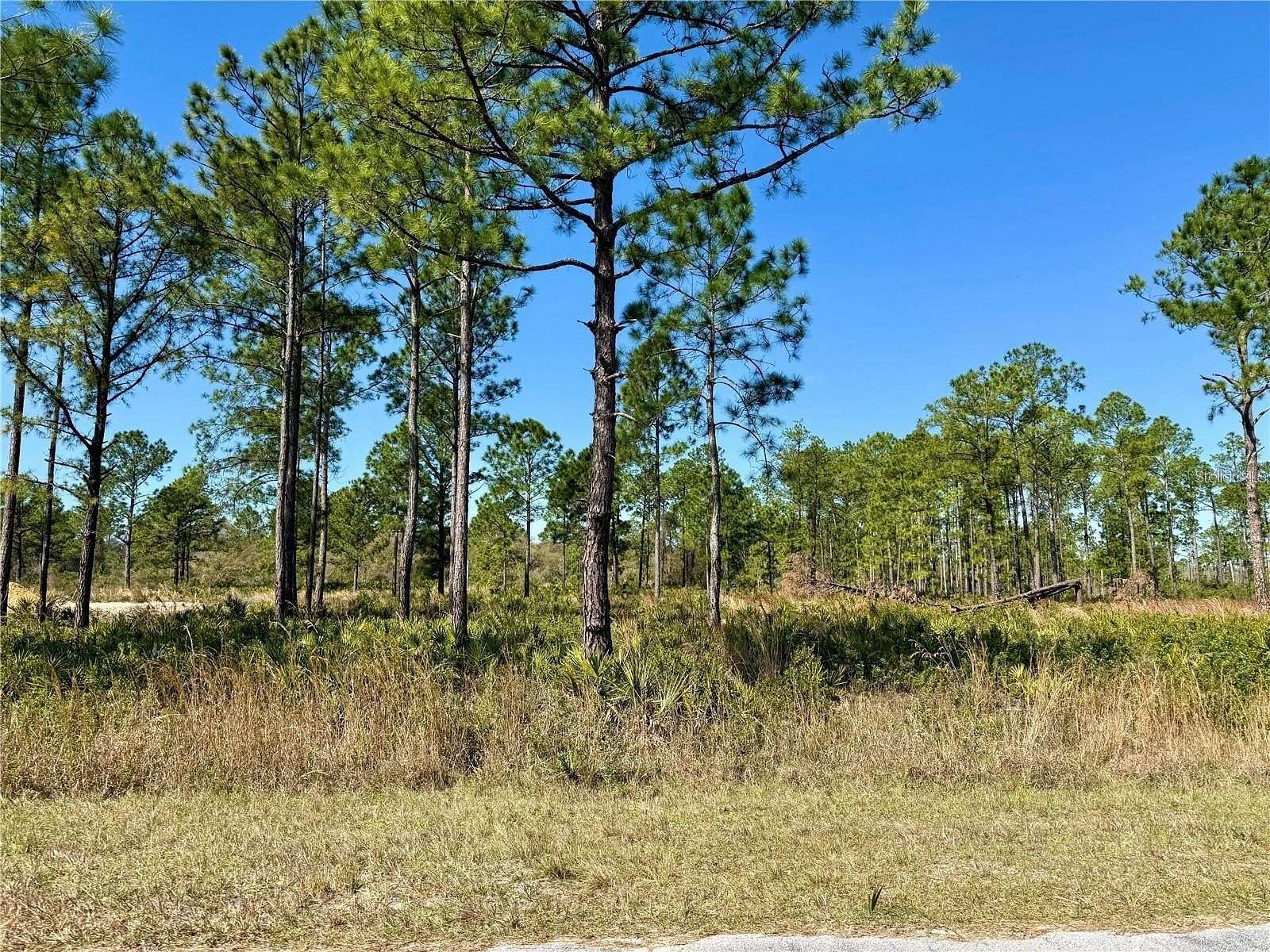 1 Acre of Residential Land for Sale in Eustis, Florida