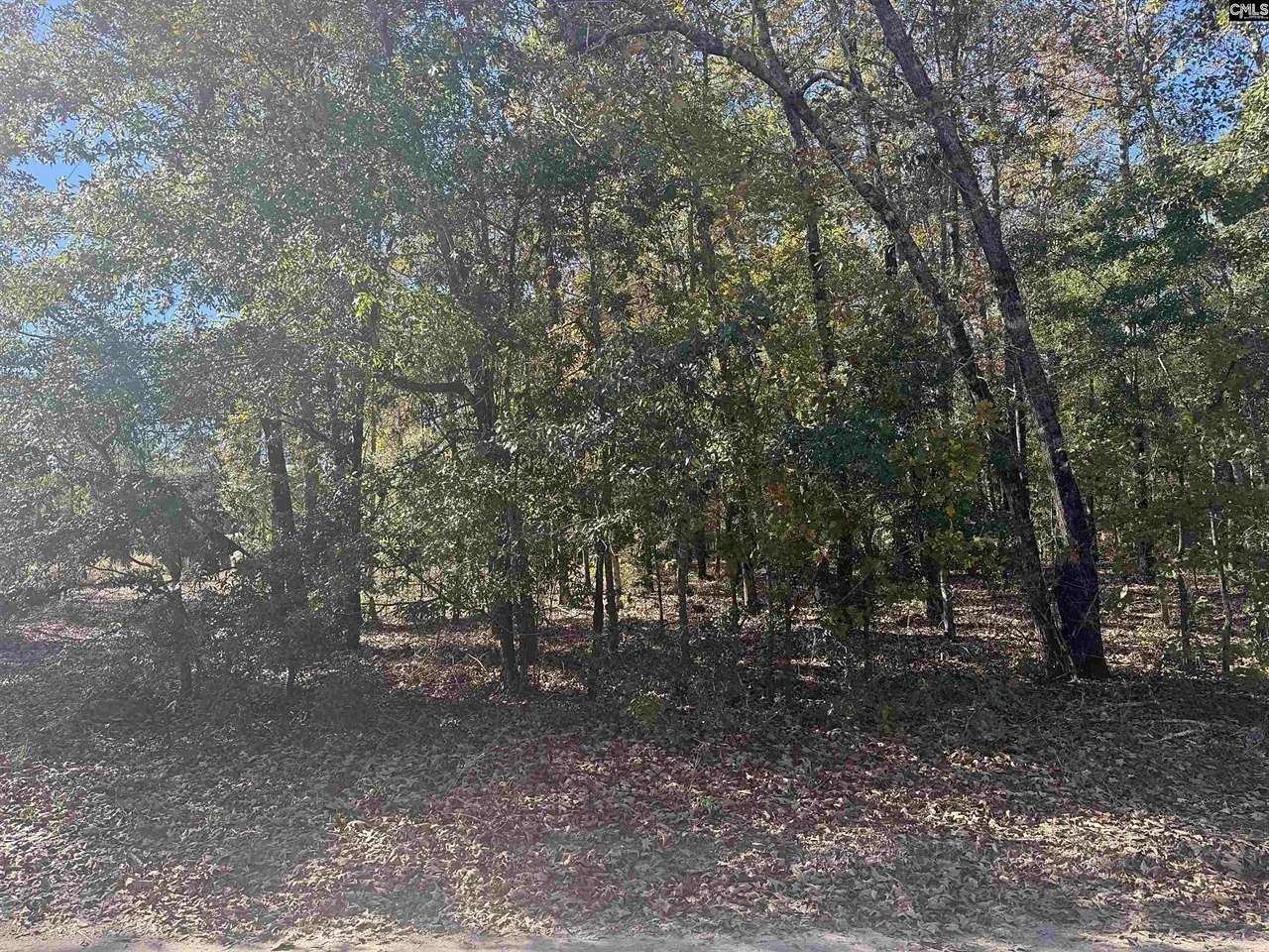 1.34 Acres of Residential Land for Sale in Bamberg, South Carolina